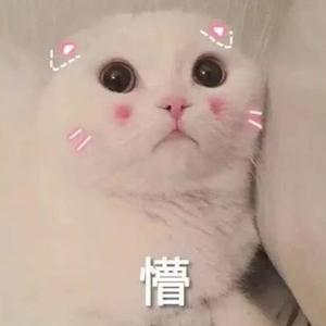 温文尔雅头像