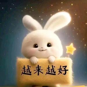 大火一堆头像