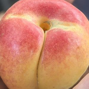 结束吧疫情头像