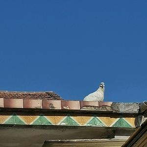 繁星春水嗒嗒头像