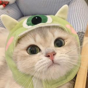 S3冒险家头像