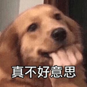 CFM首执行官头像