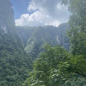 人生地不熟3083头像