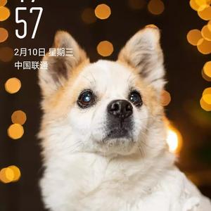 大公无私苏德战争头像