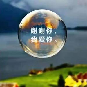 小小纪实头像