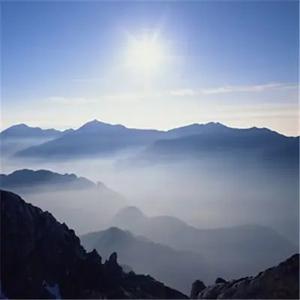 胡作非——V头像