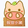 娱综小猪头像