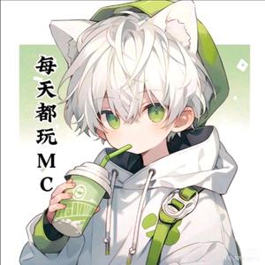 每天都玩mc头像