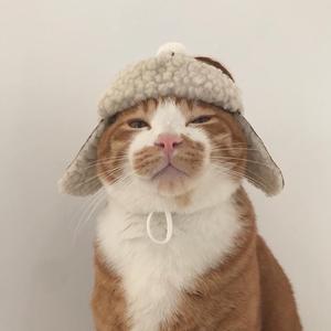 一铭知识头像