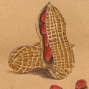 顾茜茜头像