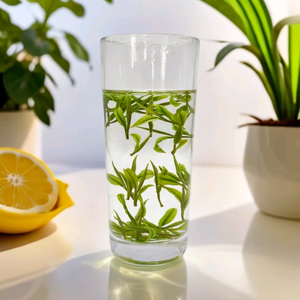 河溪白茶头像
