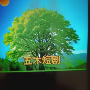 五木短剧头像