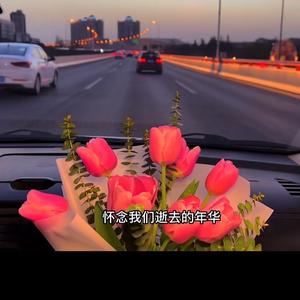 一往无前爱本是泡沫头像