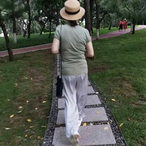 橙子桔子分不清头像