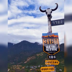 小大叔头像