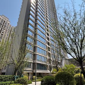 小邓说房头像