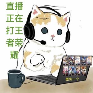 峡谷洗衣粉wx头像