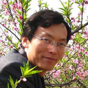 高氏甲骨文字根解字法头像