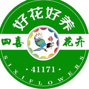 四喜叶哥（鲜花行情）头像
