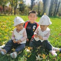 被狮子逼上了树头像