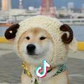 梦外年华头像