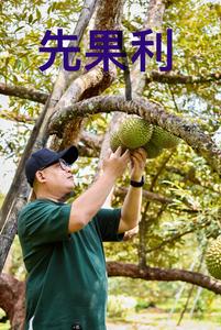 先果利（广州名果堂商贸有限公司）头像