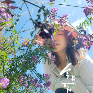 唯美倾城DAYTOY头像