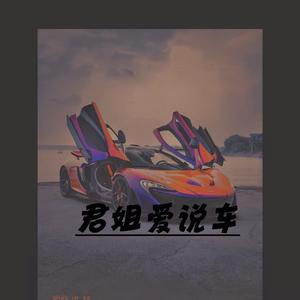 君姐爱说车头像
