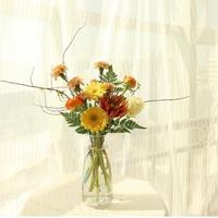 一片红枫一色秋头像