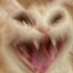仄言头像