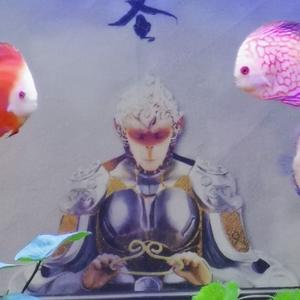 智慧橙子A头像
