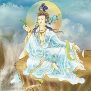 奋发晚风又赢了头像