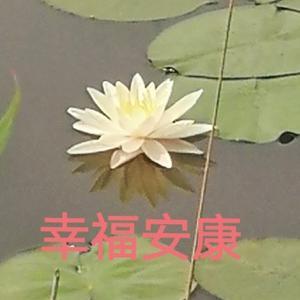 世间少有的穷B头像