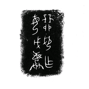 技术趴头像