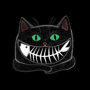 黑猫壹只眼头像