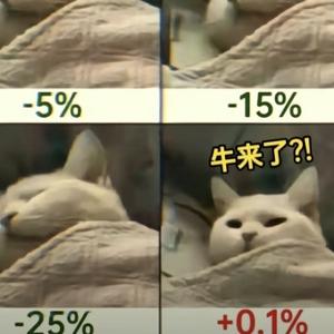 悠闲春风aUV头像