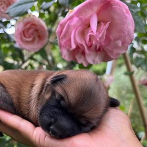 每天都做热爱的事 头像