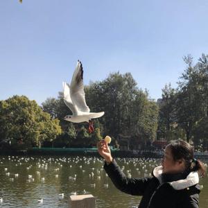 吴南峰头像