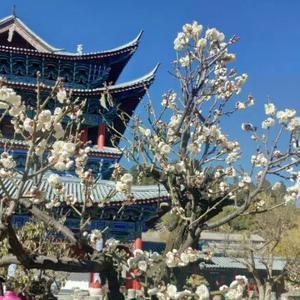 花腰彝族小芳芳头像