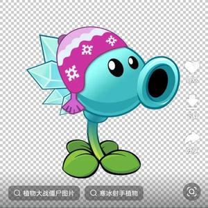 植物小石头像