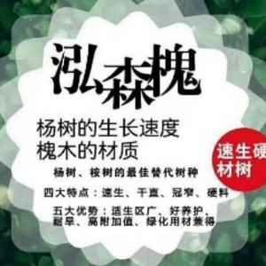 sun272头像