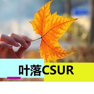 叶落CSUR头像