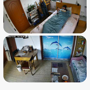 杨丽萍！杨庆国！房间，客厅，头像