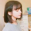 梦幻熊猫z头像