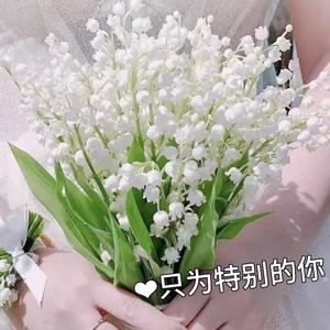 小朱的花园头像