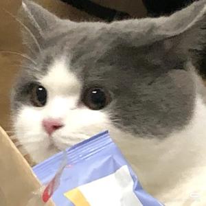 是三余不是三鱼头像