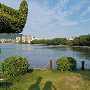 一个名字头像