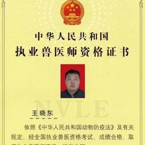 中兽医王晓东头像