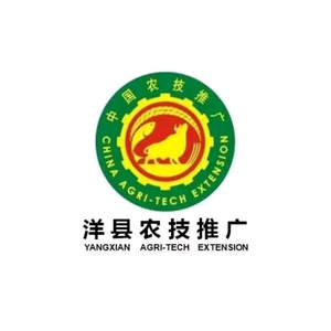 穿越秦岭头像