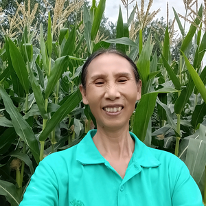 分享正能量的麦子mz头像